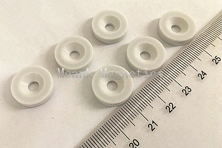 Plastic Coated Countersunk Magnets