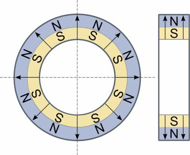 Radial magnetized ring magnet