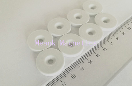 Plastic Covered Neodymium Magnets