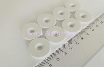 Plastic Covered Neodymium Magnets